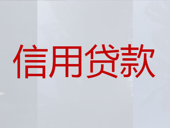 丽水抵押贷款公司-信用贷款
